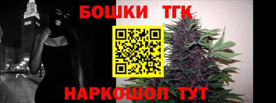 Альфа ПВП Сланцы