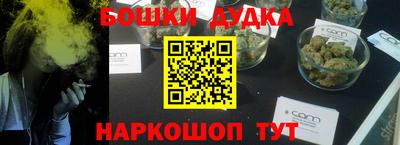 Альфа ПВП Сланцы
