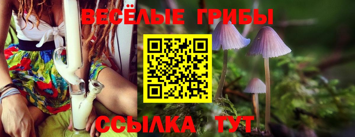 Галлюциногенные грибы мухоморы Назрань