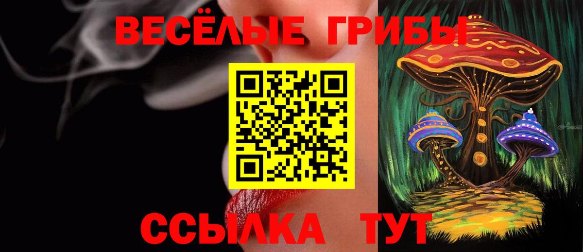 Назрань  наркотики  Вход с VPN  Псилоцибиновые грибы Psilocybine cubensis 